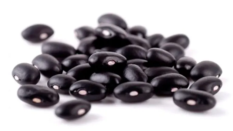 Black Beans Example