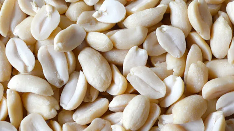 Blanched Split Peanut